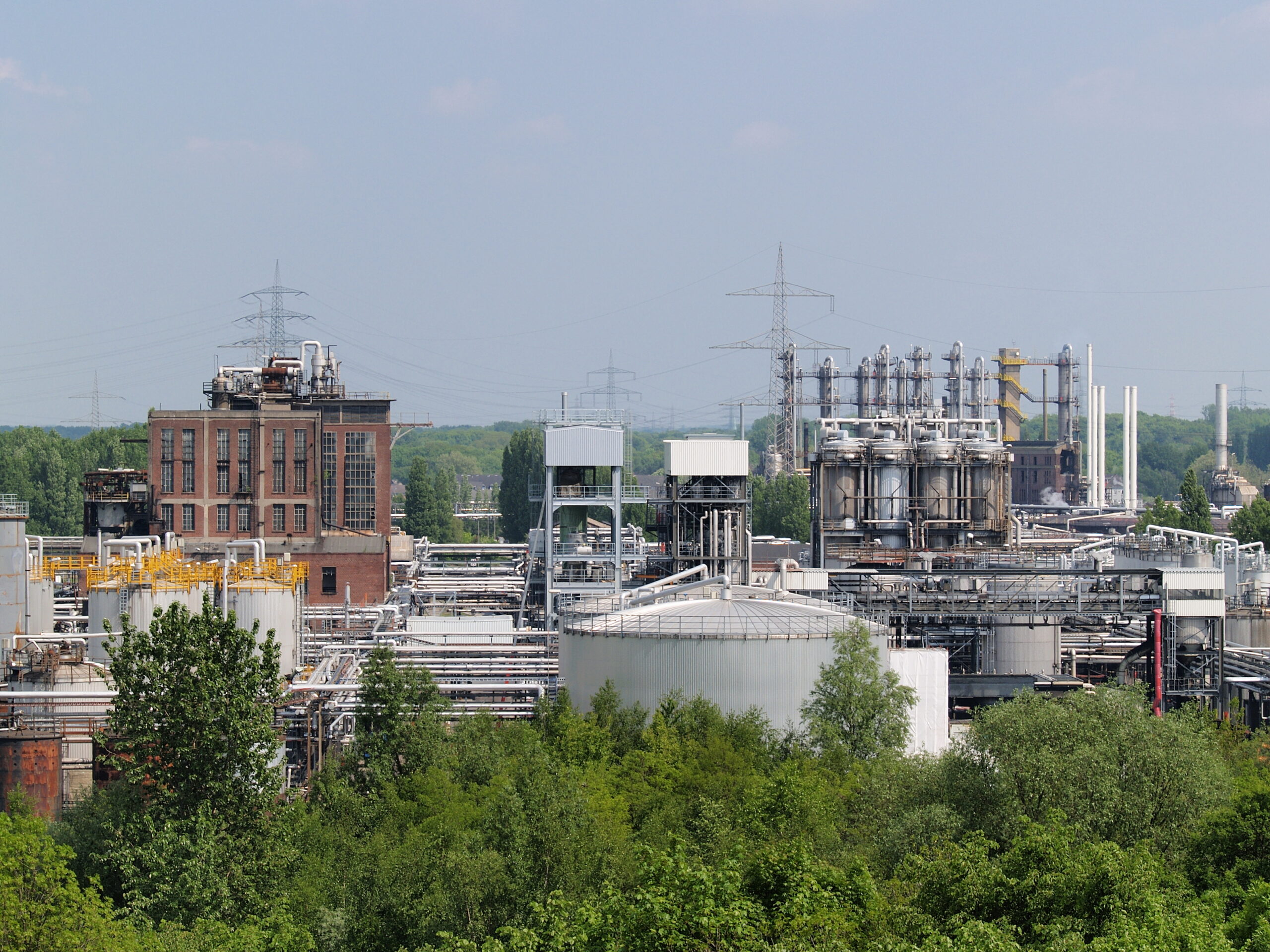 BHL Plant